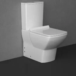 Duvara Dayalı Klozetler